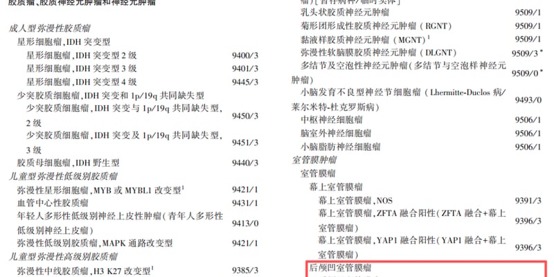 中年人群头痛恶心需警惕！色素性室管膜瘤临床特征、分子分型与精准诊疗指南