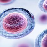 2026 ASCO Breakthrough前沿：ADC抗体偶联药与细胞治疗如何改变癌症治疗？