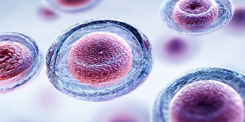 2026 ASCO Breakthrough前沿：ADC抗体偶联药与细胞治疗如何改变癌症治疗？