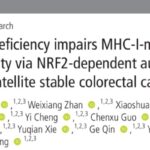 MSS型结直肠癌免疫耐药怎么破？靶向NRF2联合PD-1破解PTEN缺失难题
