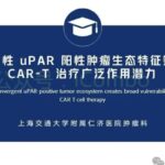 实体瘤CAR-T治疗获重大突破：靶向uPAR双重清除癌细胞与间质屏障