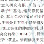子宫内膜癌免疫组化报告异常怎么办？MMR亚克隆缺失精准分型与治疗方案解析
