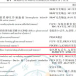 儿童播散性低级别胶质瘤化疗耐药复发？RAS/MAPK靶向治疗方案全面解析