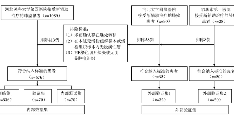 肺癌术前新辅助免疫治疗能否清空肿瘤？多模态AI精准预测pCR疗效指南