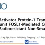 非小细胞肺癌放疗耐药怎么办？ACS Nano揭秘铜死亡纳米增敏破局新策略