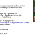 结直肠癌肝转移怎么治？仙连解毒方破译Plaur靶点切断癌细胞转移链