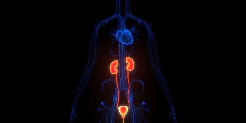 泌尿肿瘤前沿靶向与免疫新方案盘点：前列腺癌、肾癌及膀胱癌最新突破