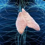 肺癌放疗胸腺受照或致转移？胸腺保护与免疫协同治疗新指南