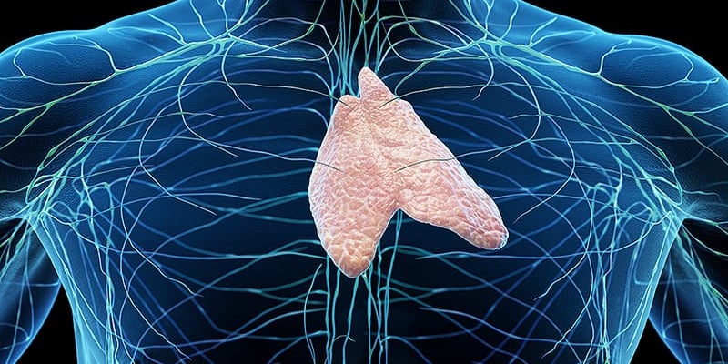 肺癌放疗胸腺受照或致转移？胸腺保护与免疫协同治疗新指南
