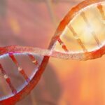 伊鲁司群联合阿贝西利获FDA批准：破解乳腺癌ESR1耐药新靶向方案