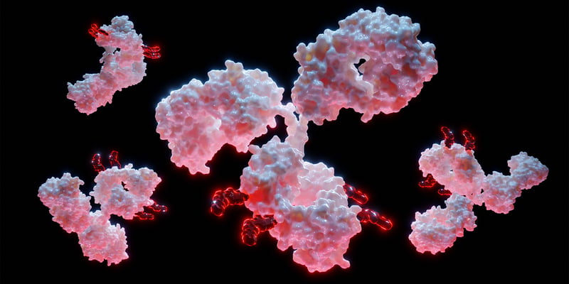 复发小细胞肺癌迎来突破：两款B7-H3靶向ADC显著延长生存期