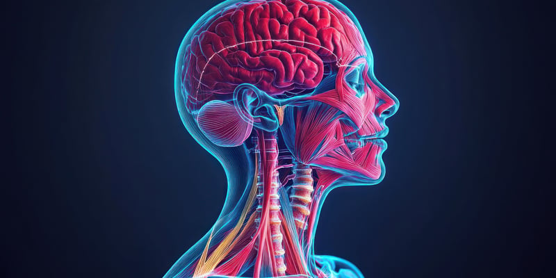 头颈部鳞癌一线治疗迎突破：瓦洛利单抗联用帕博利珠单抗有效率翻倍