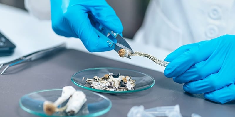 化疗后手脚麻木疼痛怎么办？赛洛西宾预防神经损伤前沿研究突破